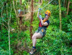 Ultimate Guided Tour of Daintree Rainforest and Ziplining with Hotel Transfers